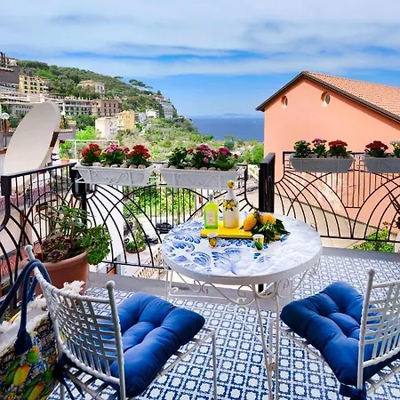 Sofi * Sorrento